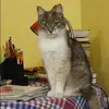 Отзыв от Татьяна Чернова